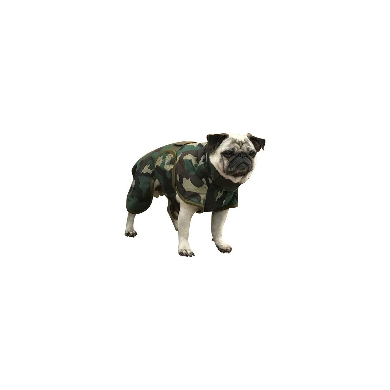 SICCARO Hundemantel WetDog Spirit 4 SICCARO Hundemantel WetDog Spirit – Bild 4