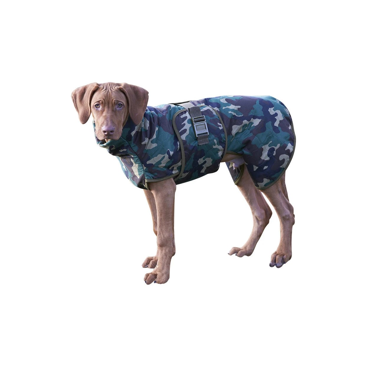 SICCARO Hundemantel WetDog Spirit 5 SICCARO Hundemantel WetDog Spirit – Bild 5