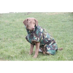 SICCARO Hundemantel WetDog Spirit 23 SICCARO Hundemantel WetDog Spirit -Angebote Hundenass Futter Store siccaro hundemantel wetdog spirit 1529586106