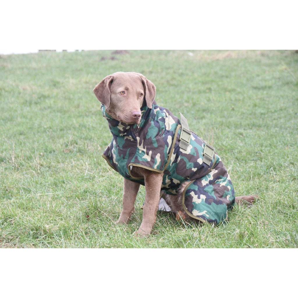 SICCARO Hundemantel WetDog Spirit 10 SICCARO Hundemantel WetDog Spirit – Bild 10