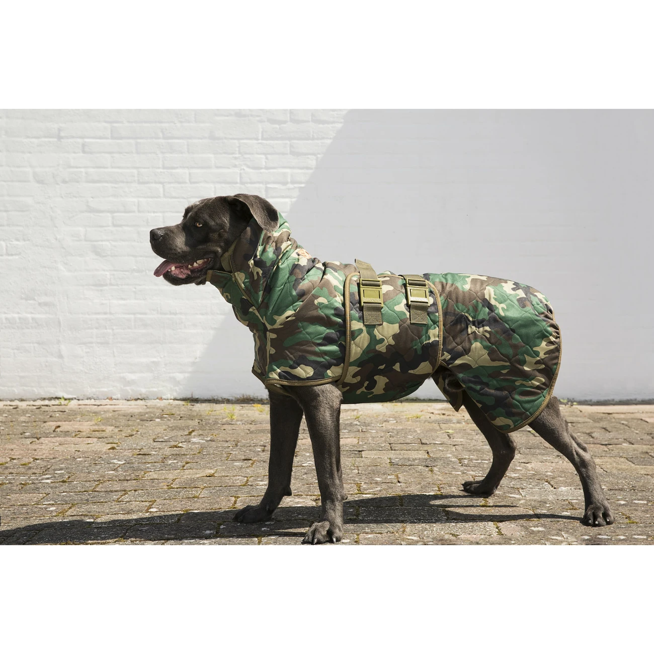 SICCARO Hundemantel WetDog Spirit 2 SICCARO Hundemantel WetDog Spirit – Bild 2