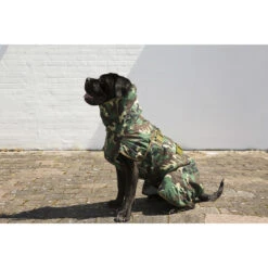 SICCARO Hundemantel WetDog Spirit 27 SICCARO Hundemantel WetDog Spirit -Angebote Hundenass Futter Store siccaro hundemantel wetdog spirit 1529586131