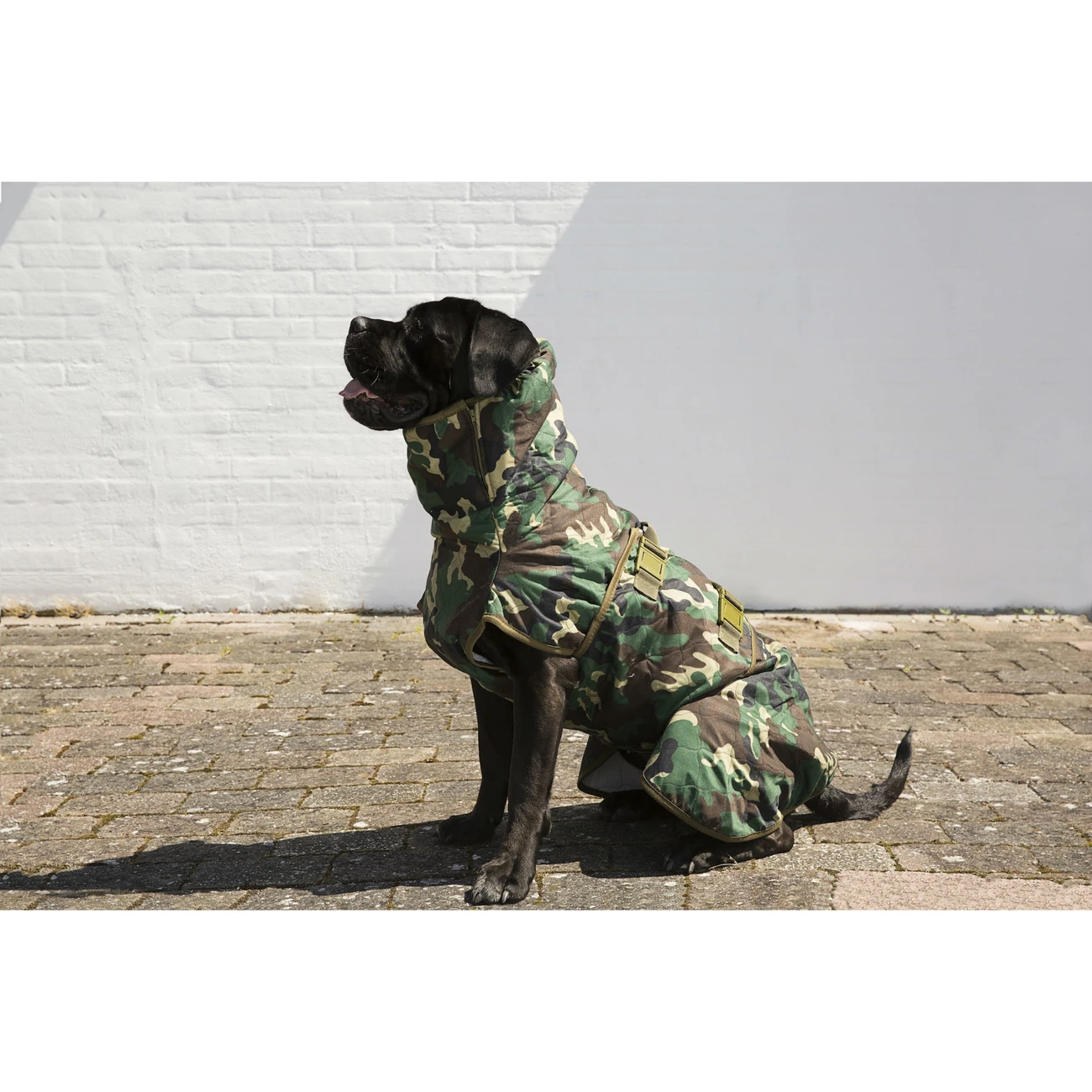 SICCARO Hundemantel WetDog Spirit 14 SICCARO Hundemantel WetDog Spirit – Bild 14