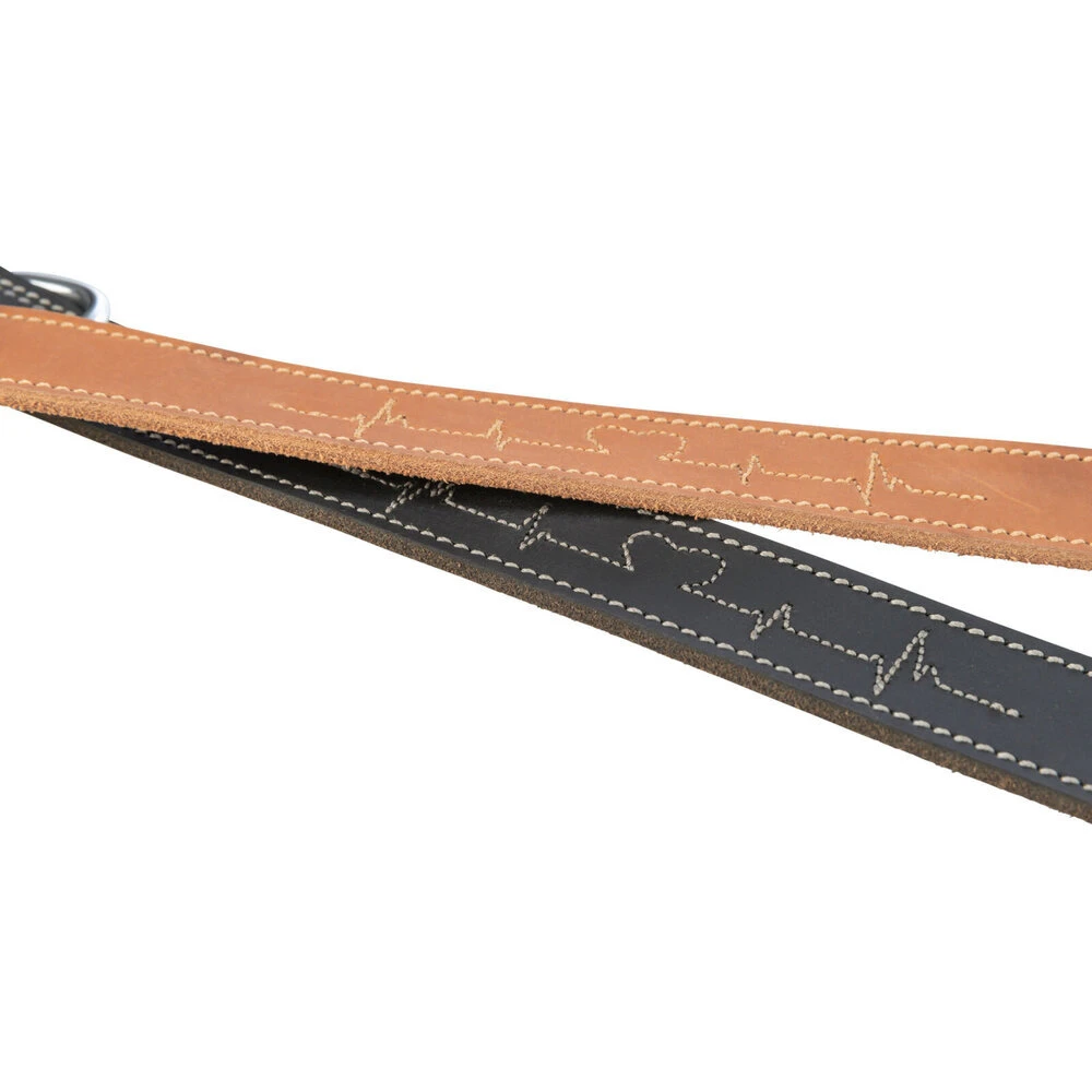 TRIXIE Rustic Fettleder-Hundehalsband Heartbeat 3 TRIXIE Rustic Fettleder-Hundehalsband Heartbeat – Bild 3