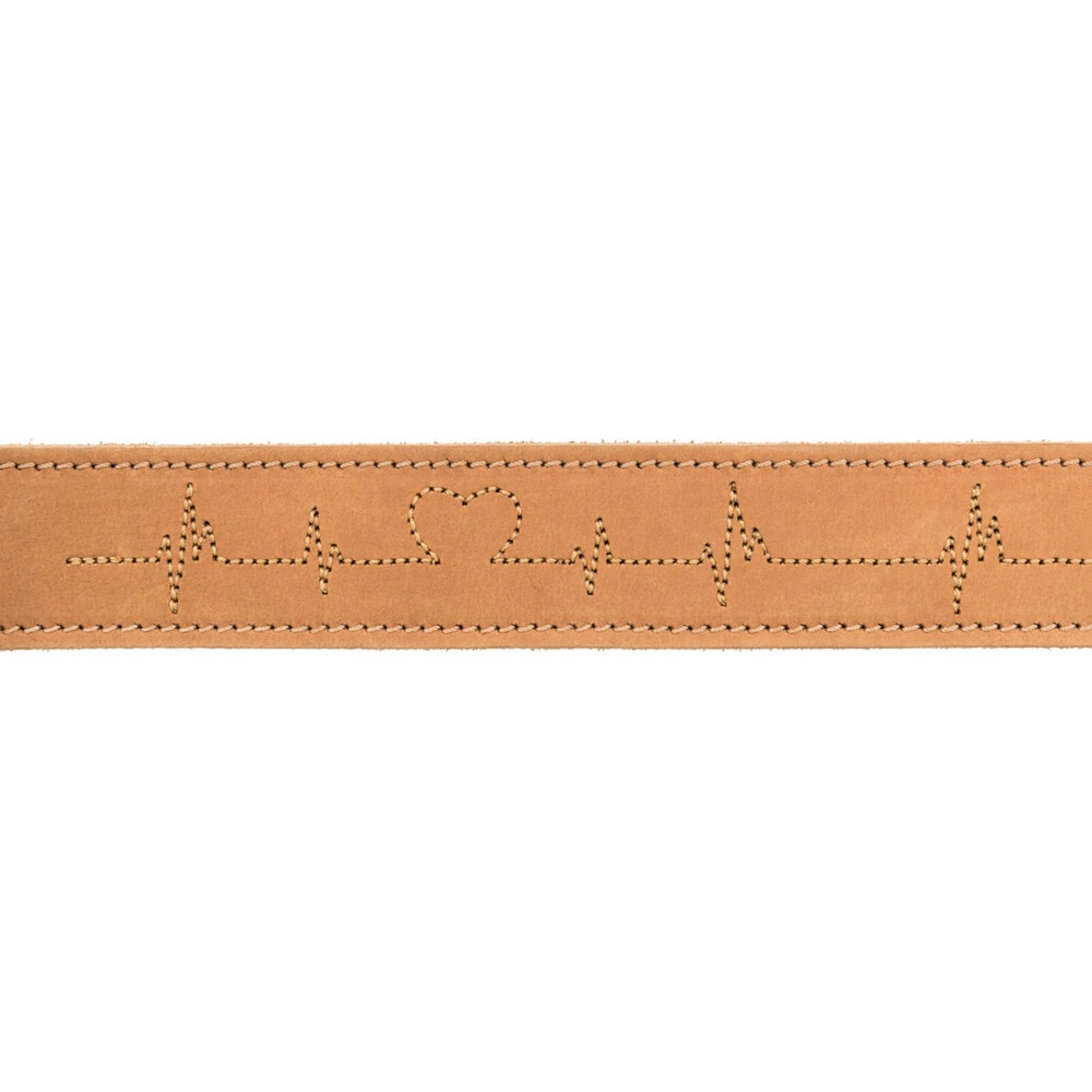 TRIXIE Rustic Fettleder-Hundehalsband Heartbeat 6 TRIXIE Rustic Fettleder-Hundehalsband Heartbeat – Bild 6