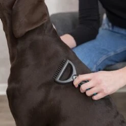 TRIXIE Universal Striegel Coater 13 TRIXIE Universal Striegel Coater -Angebote Hundenass Futter Store trixie universal striegel coater 1627473051