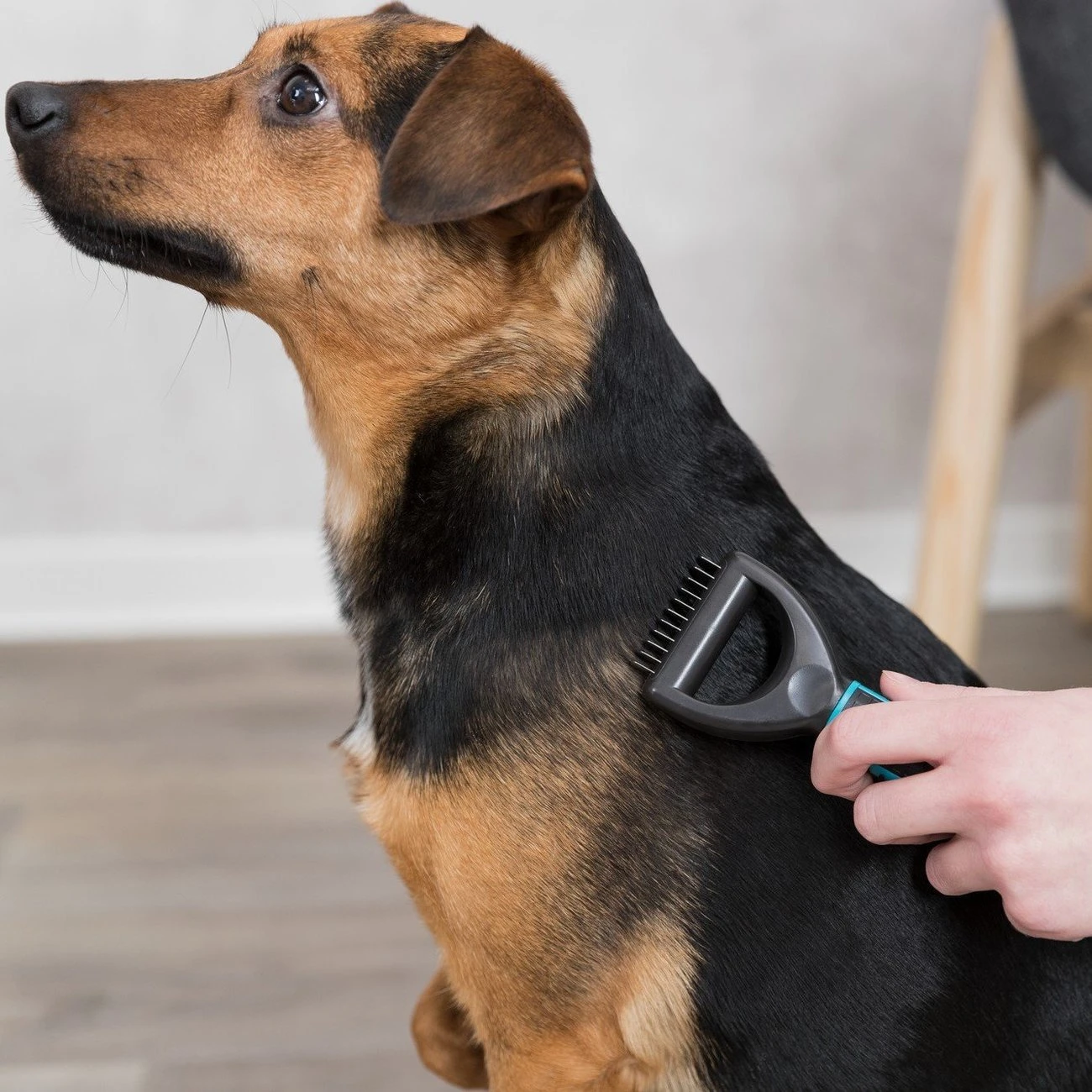 TRIXIE Universal Striegel Coater 2 TRIXIE Universal Striegel Coater – Bild 2