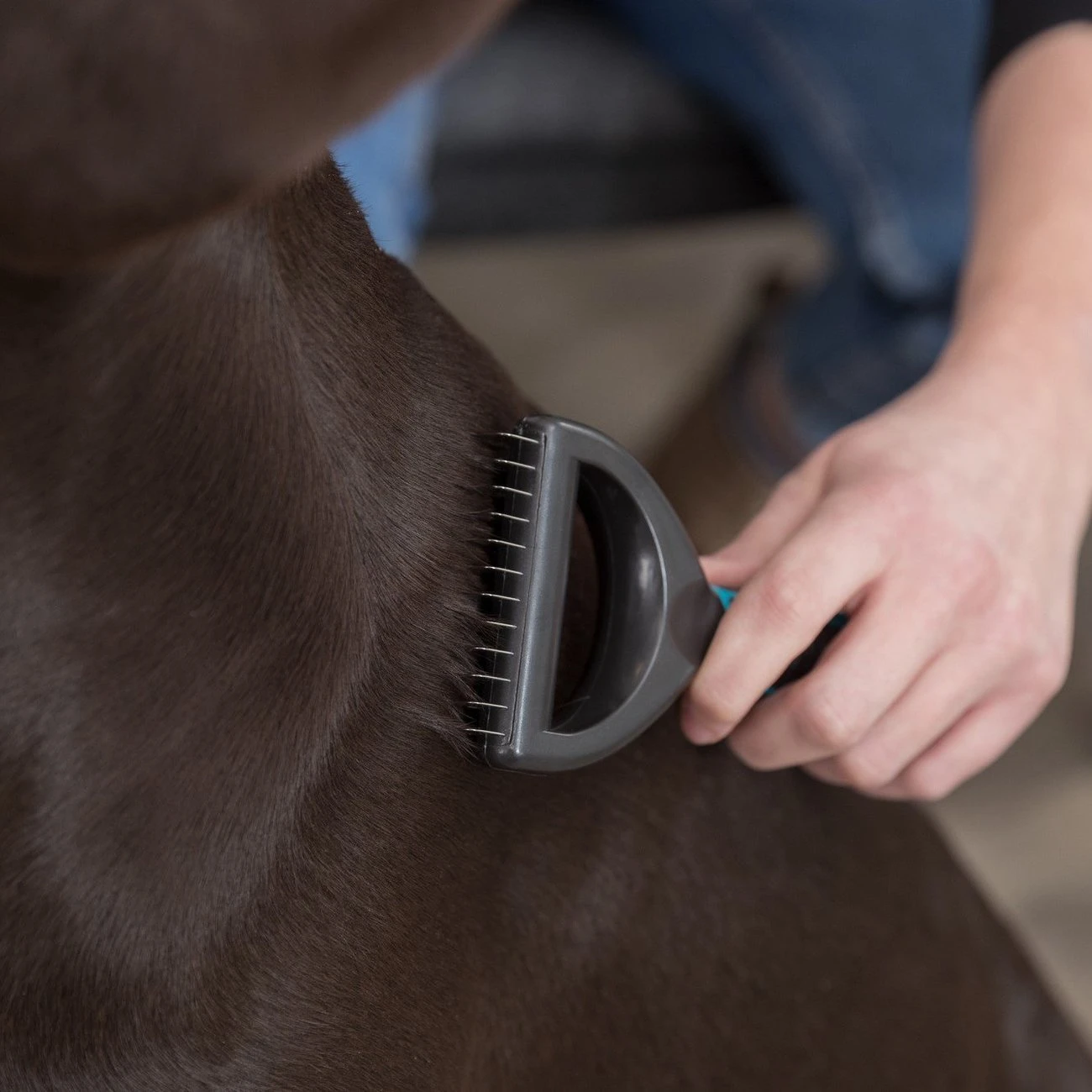 TRIXIE Universal Striegel Coater 10 TRIXIE Universal Striegel Coater – Bild 10