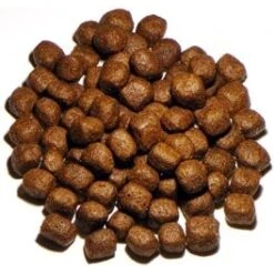 Vollmers Holistic Hundefutter -Angebote Hundenass Futter Store vollmers holistic hundefutter 1463659958