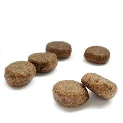 Waustark Hundefutter Mit Ente 7 Waustark Hundefutter Mit Ente -Angebote Hundenass Futter Store waustark hundefutter mit ente 1573734678