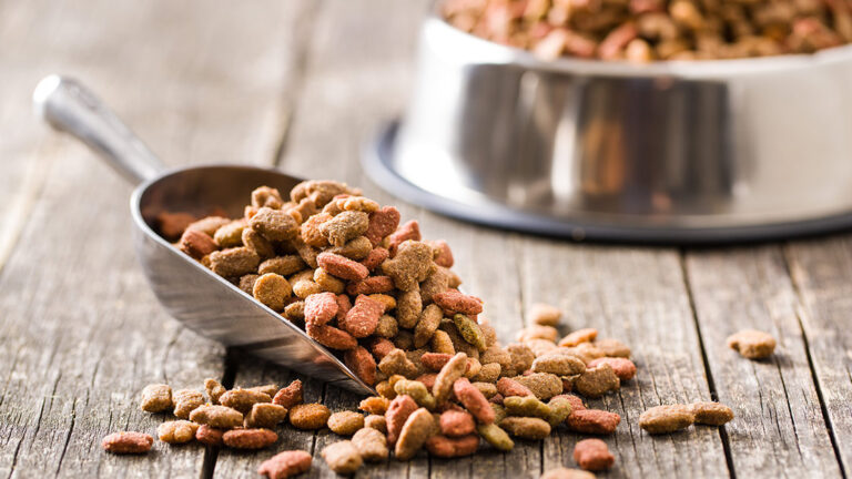 Angebote Hundenass Futter Store -Angebote Hundenass Futter Store croquette chien 768x432 1